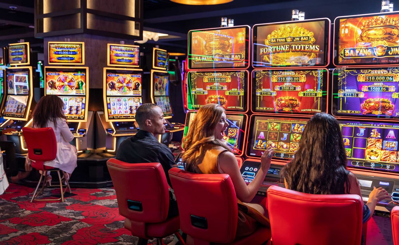 y5mate Live Casino